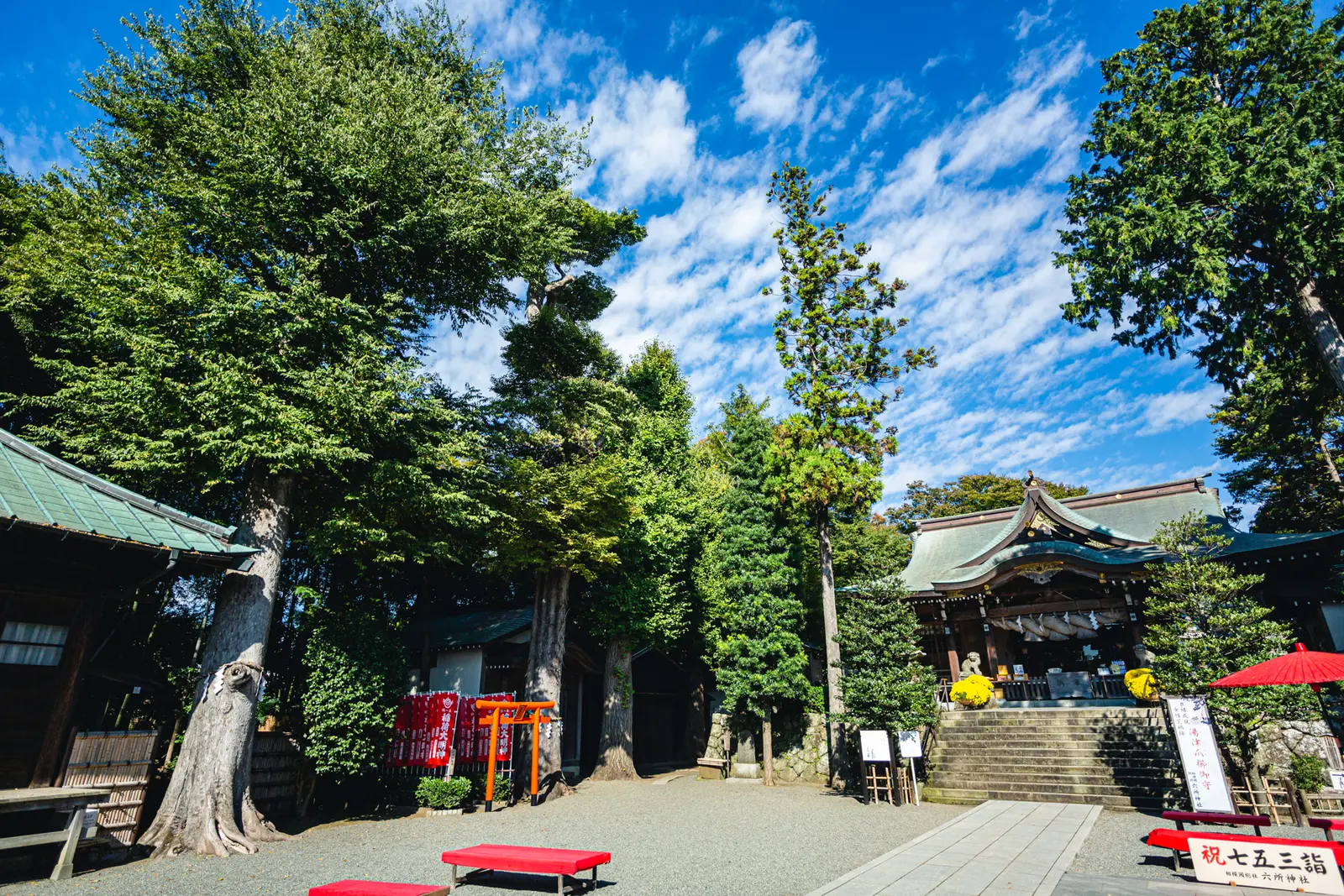 青空と緑に囲まれた日本の神社の社殿と参道