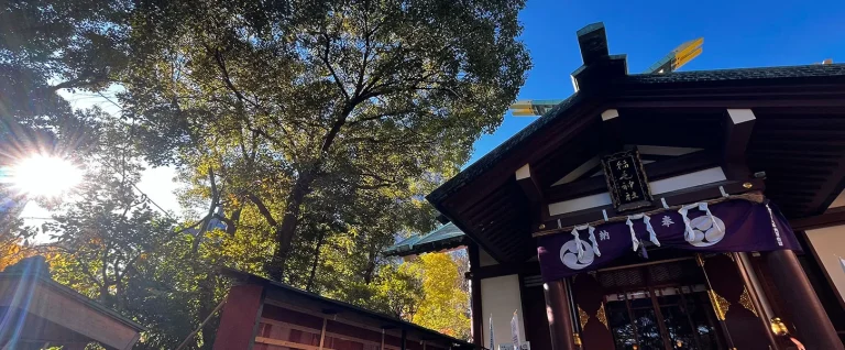 稲毛神社の社殿と境内