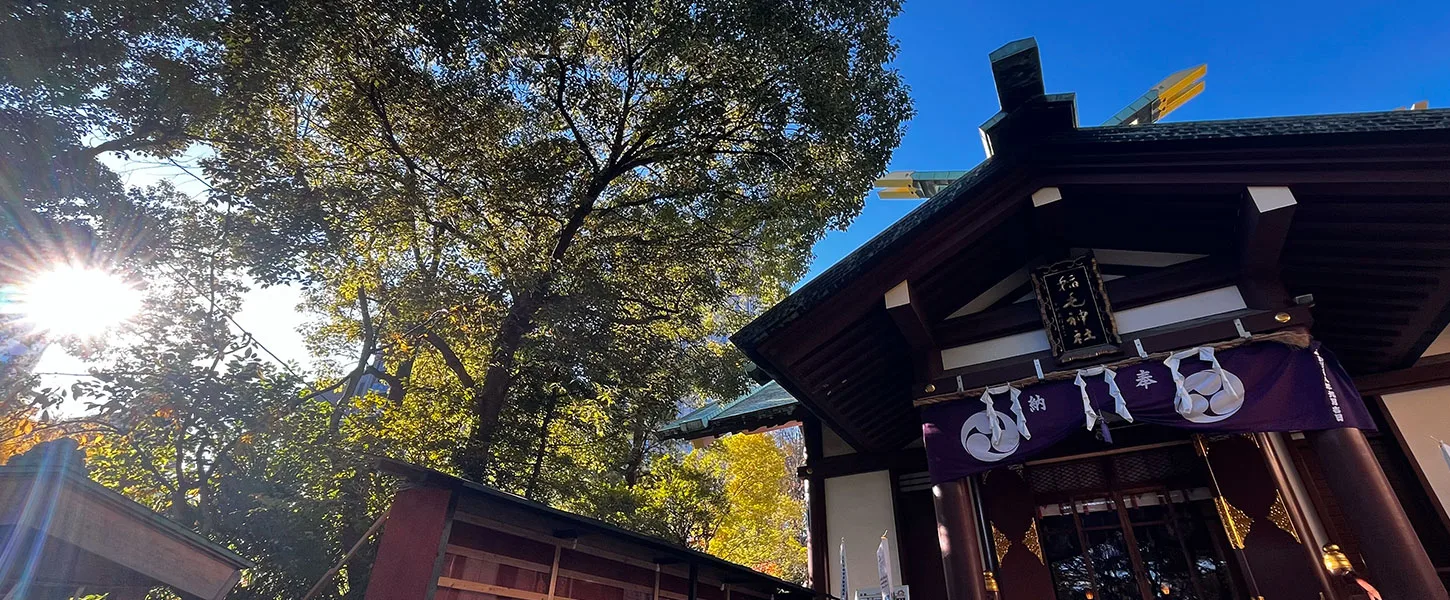 稲毛神社の社殿と境内