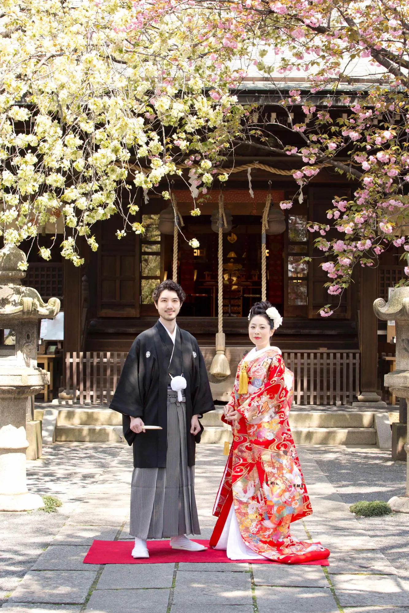 七社神社の社殿前で神前式を迎える和装の新郎新婦