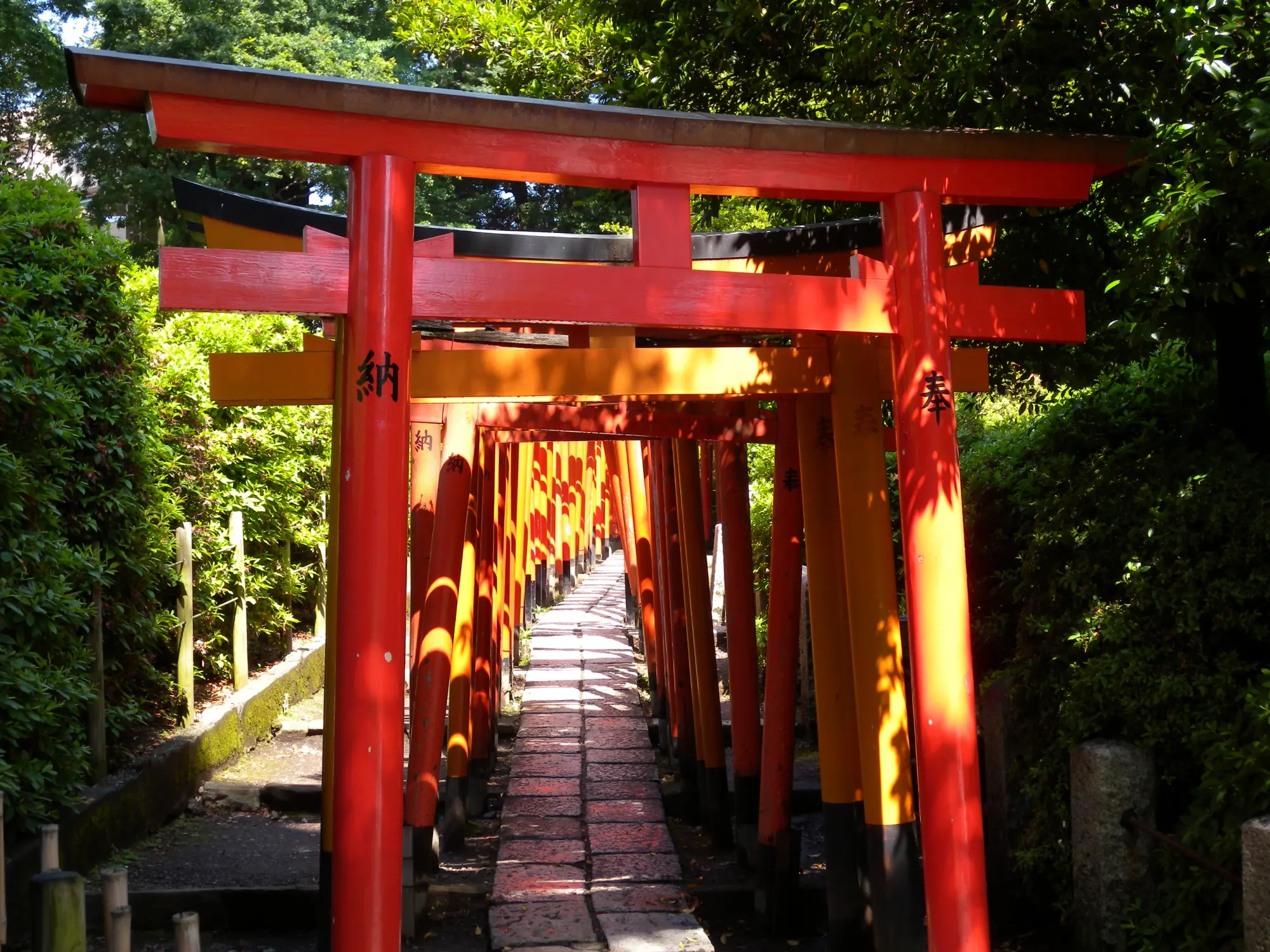根津神社境内の乙女稲荷神社に続く朱色の鳥居