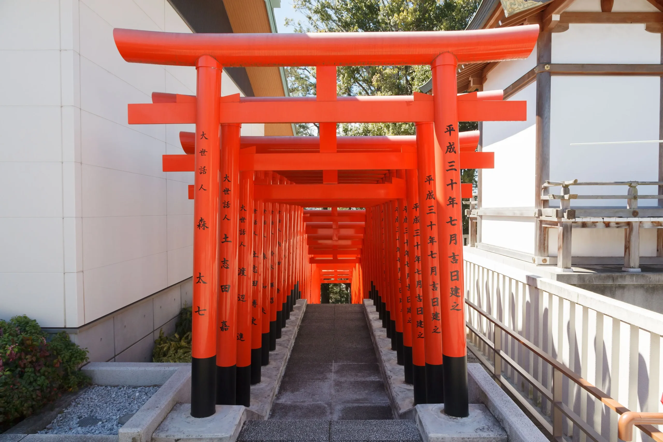 神鳥前川神社境内の朱色の鳥居が連なる参道