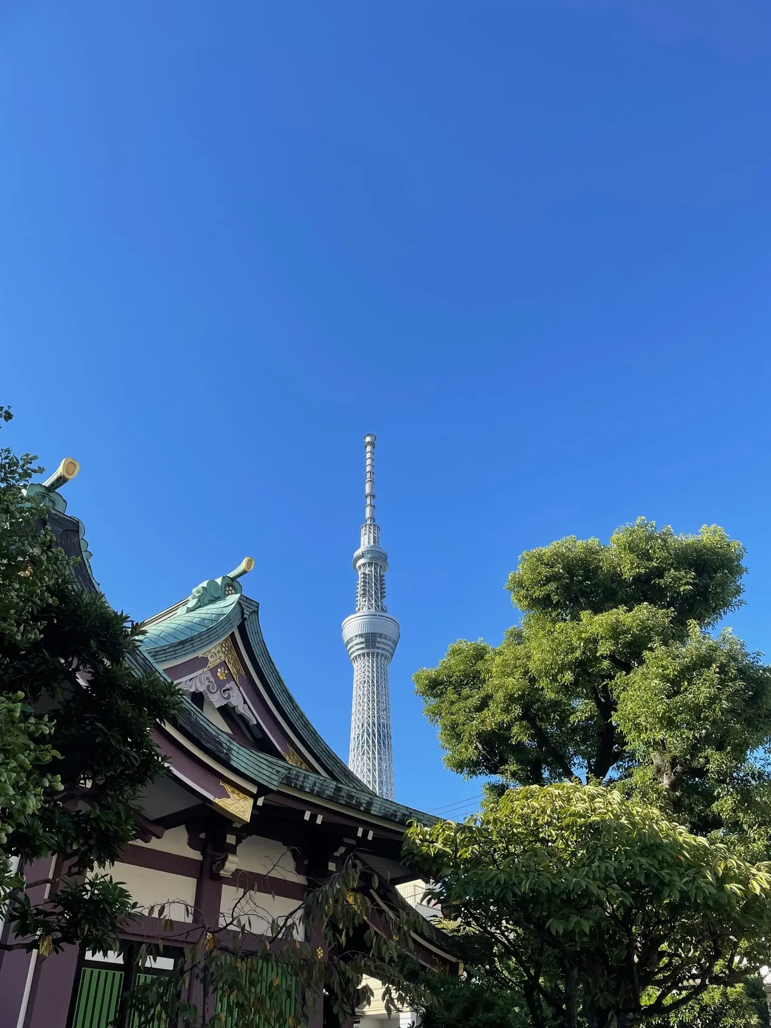 高木神社の社殿越しに見える東京スカイツリー